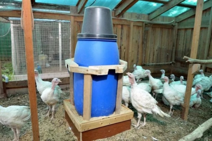 How to make a turkey feeder?
