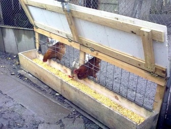 Automatiske kyllingmatere
