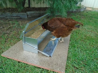 Automatic chicken feeders