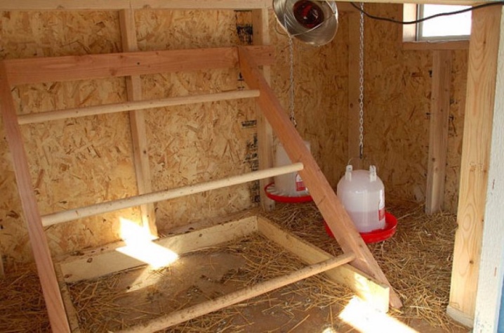 Perches for chickens: dimensions and DIY creation