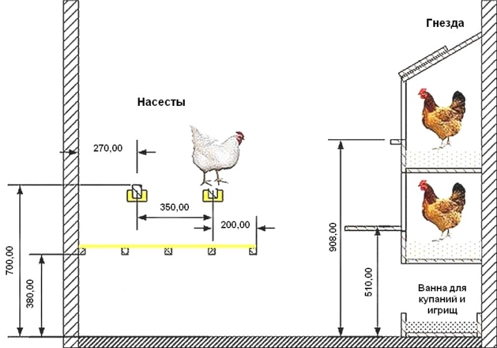 Perches for chickens: dimensions and DIY creation