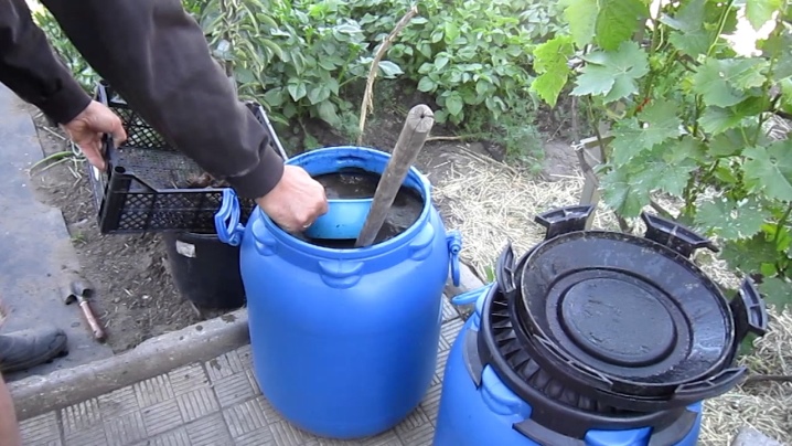 How and how to fertilize grapes in spring?