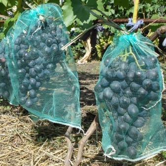 Nets for grapes