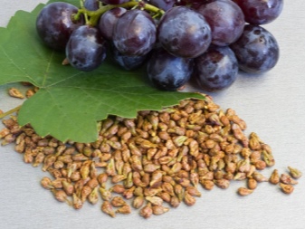How to grow grapes?