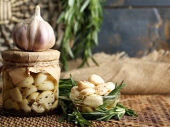 All about garlic