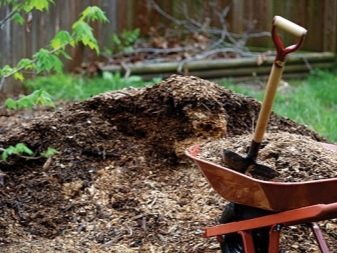 Van wat voor soort grond houdt knoflook bij het planten in de herfst?