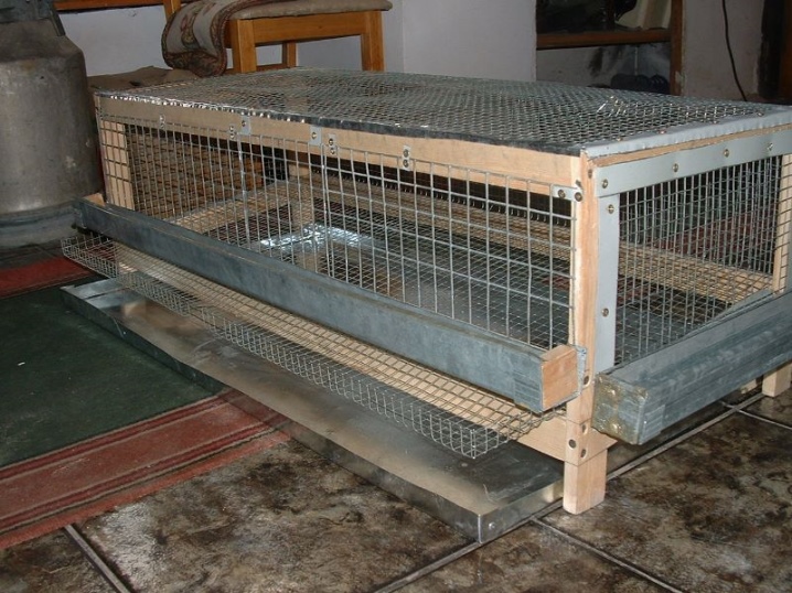 Cages for laying hens: dimensions, selection, manufacture and placement