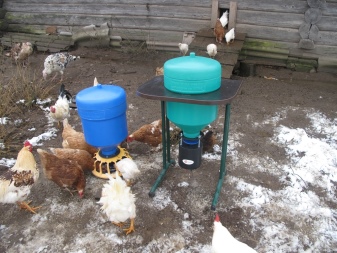 Bunkerfoderautomater til kyllinger: beskrivelse og fremstilling
