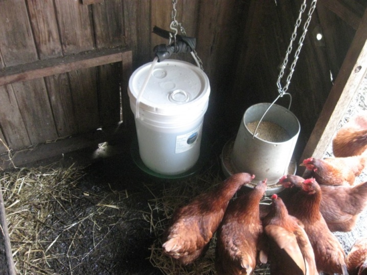 Bunkerfoderautomater til kyllinger: beskrivelse og fremstilling