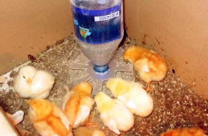 Tavuklar için bunker besleyiciler: tanımı ve üretimi