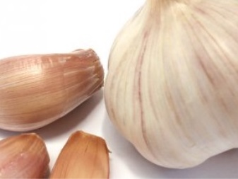 How to grow garlic at home?