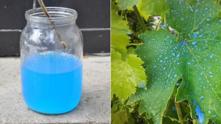 Treatment of grapes with copper sulphate