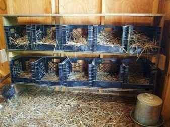 Features of the construction of a winter chicken coop for 10 chickens