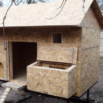 Features of the construction of a winter chicken coop for 10 chickens