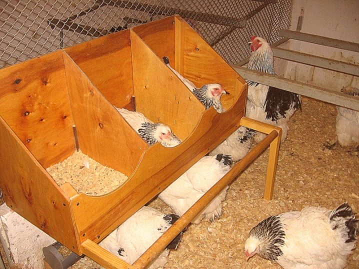 Funktioner og tips til at arrangere et hønsehus