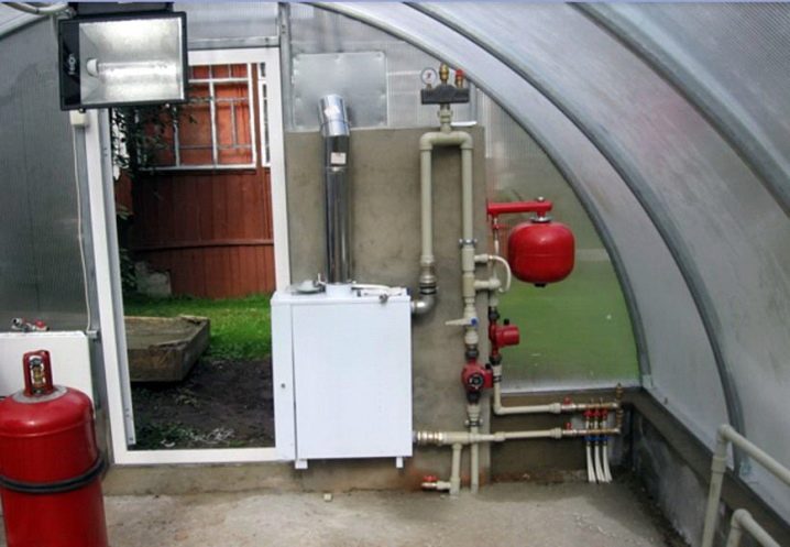 Heating a chicken coop in winter: heating methods and suitable types of electrical appliances