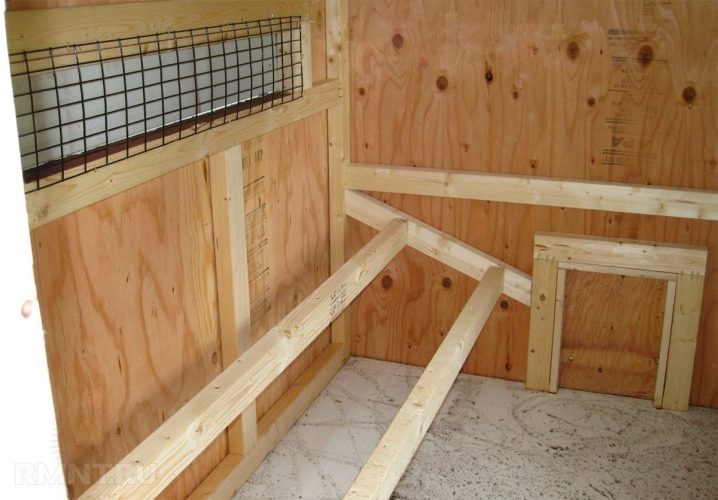 Chicken coop for 20 chickens: projects, construction and arrangement