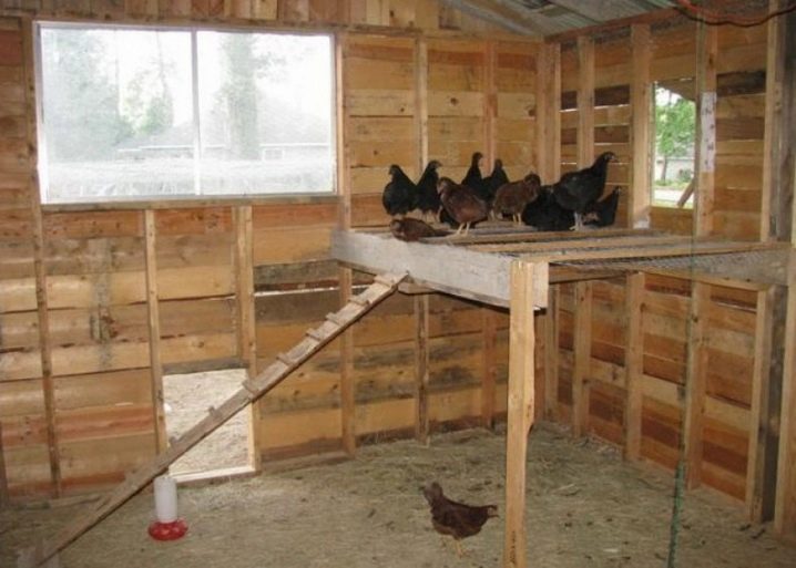 Summer chicken coop: drawings and construction process