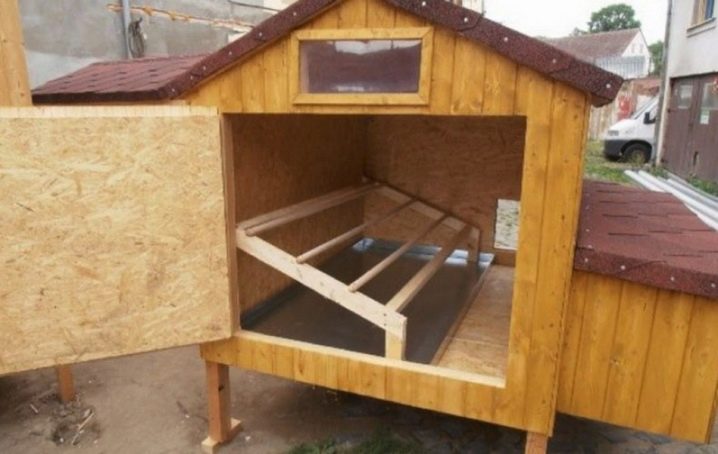 What should be the floor in the chicken coop and what is better to choose?