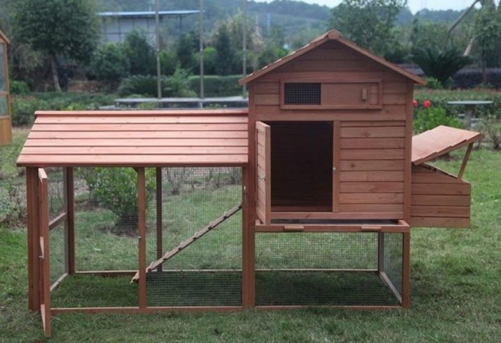 Hur bygger man ett hönshus för 10 kycklingar?