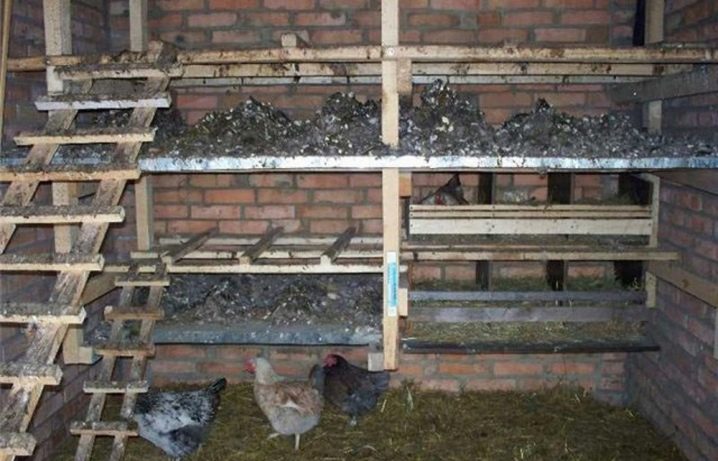 Comment construire un poulailler pour 10 poules ?