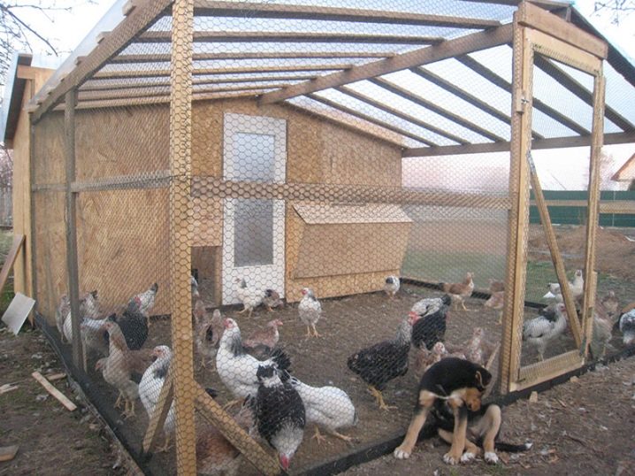 Hoe bouw je een kippenhok voor 10 kippen?