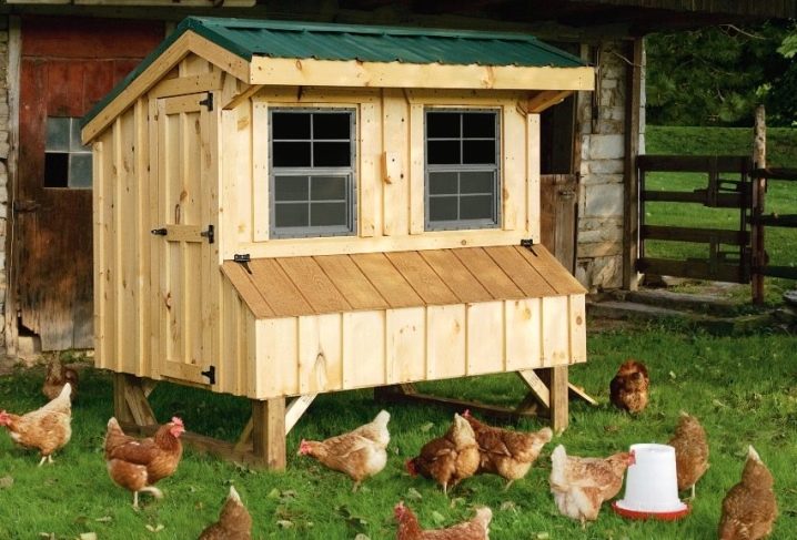 How to build a chicken coop for 10 chickens?