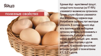 Polli Uheilyuy descrizione della razza, caratteristiche di allevamento e cura dei polli, recensioni dei proprietari