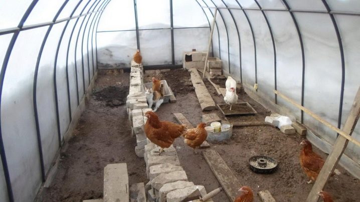 How to make ventilation in the chicken coop with your own hands?