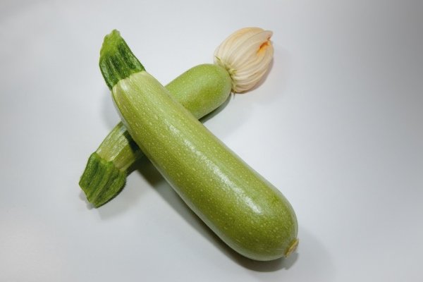 Hybrid zucchini Aliya