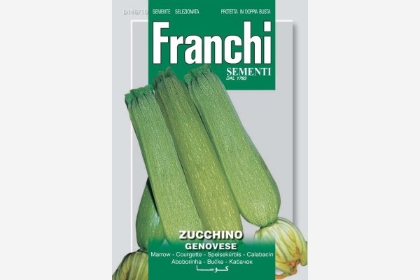 Zucchini Genovese