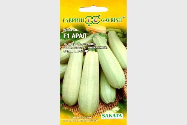 Zucchini Aral