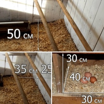 Cómo equipar un granero por dentro, dispositivo y dibujos, cómo construir un gallinero.