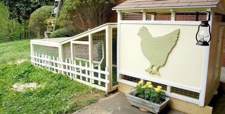Come attrezzare una stalla all'interno, dispositivo e disegni, come costruire un pollaio