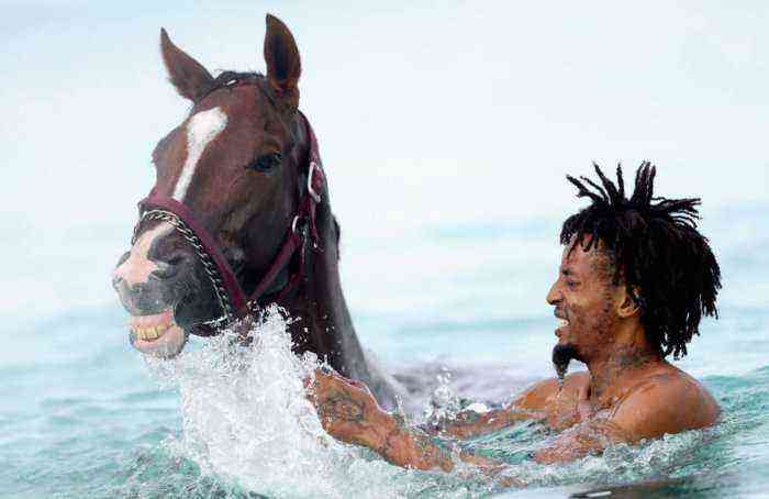 Hestens første bad