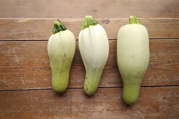 Pear-shaped zucchini