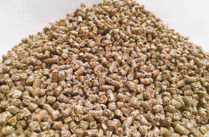 Compound feed for pigs