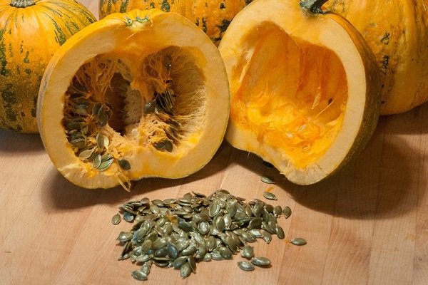 Features of growing Gymnospermous pumpkin with step by step instructions
