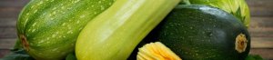 How to freeze fresh zucchini for the winter