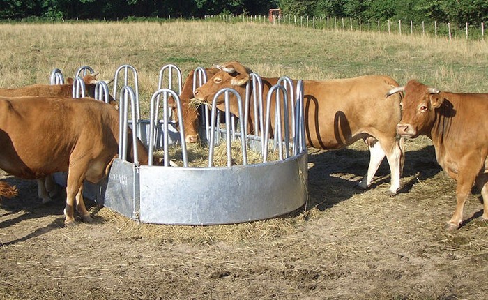 Feeder for cows in the pasture