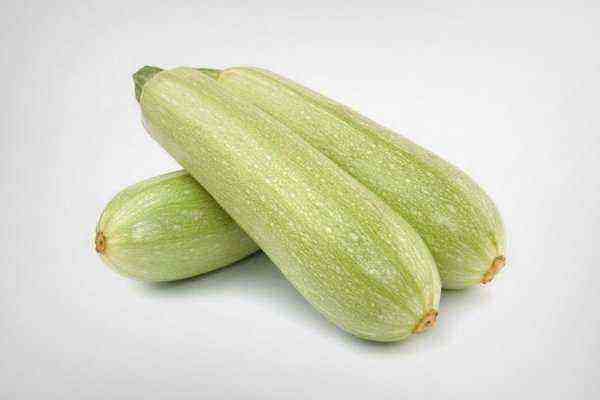 Overview of the best varieties of zucchini for open and closed ground