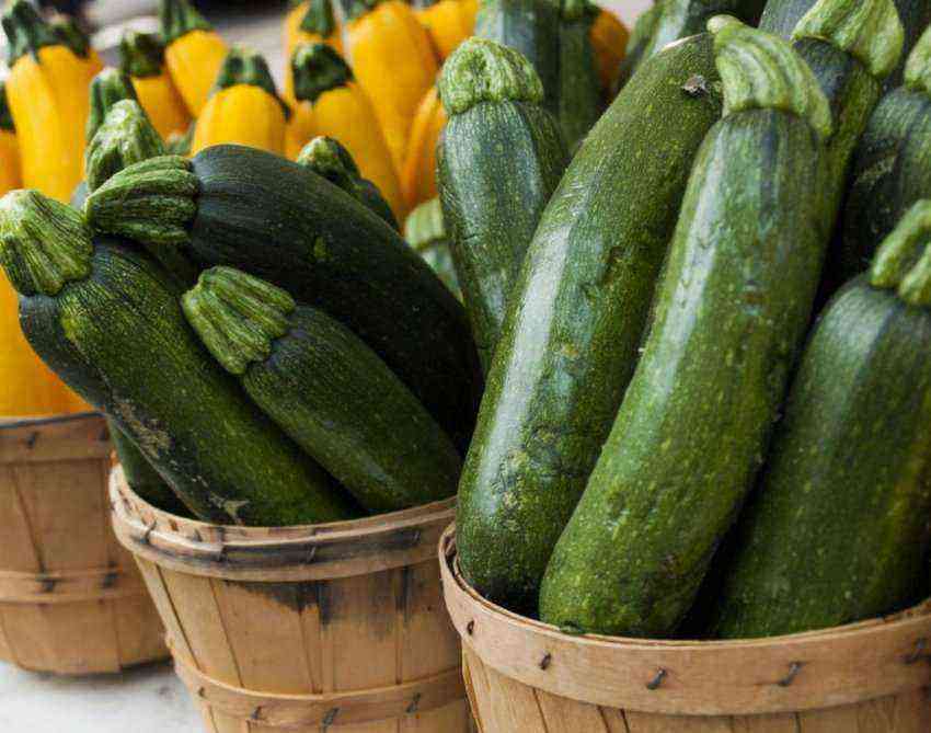 This is the only way zucchini will be kept fresh until spring.