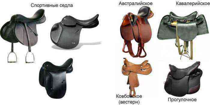 Varieties of saddles for horses