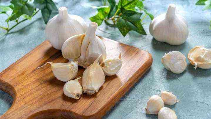 What can you plant garlic after?