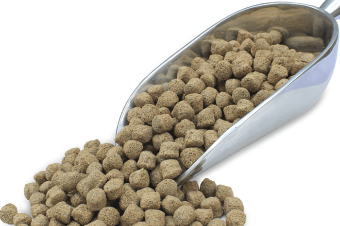 What is extruded pig feed?