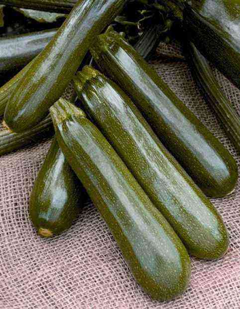 Causes of irregular shape in zucchini