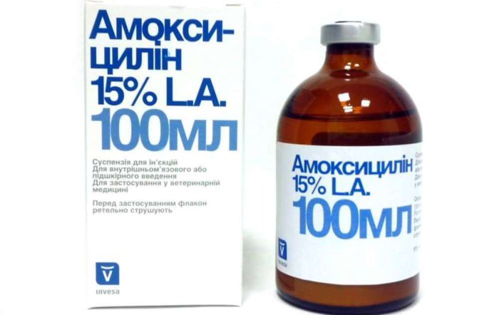 Αμοξικιλλίνη