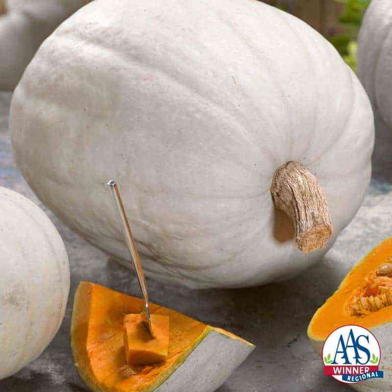 Features and varieties of white pumpkin