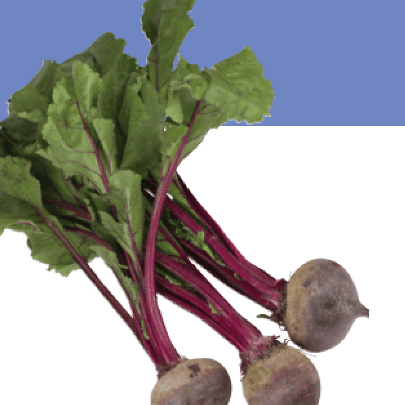 How to plant beets in autumn?