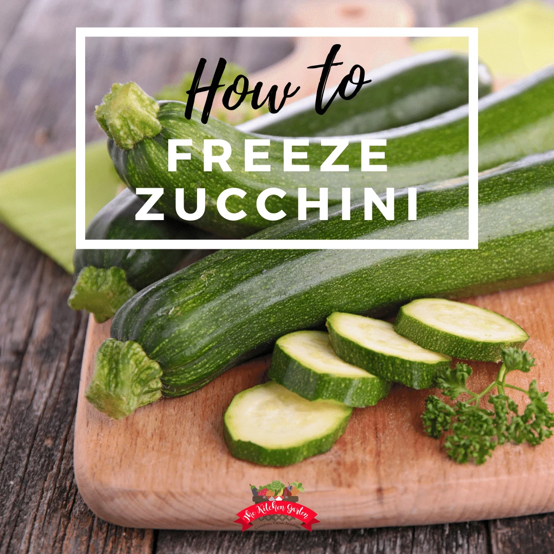 Is it possible to freeze zucchini for the winter fresh
